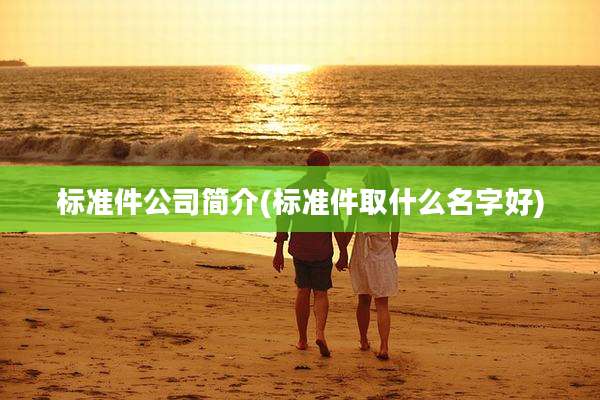 标准件公司简介(标准件取什么名字好)