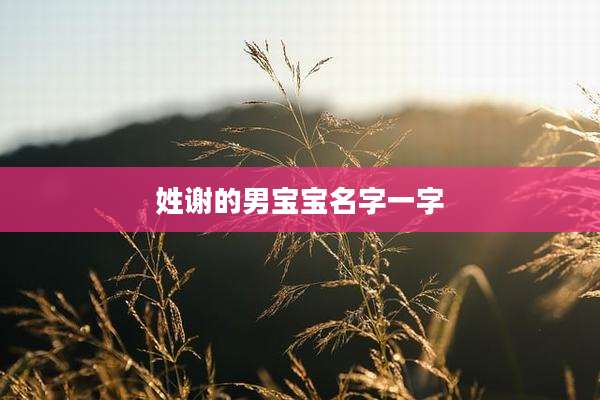 姓谢的男宝宝名字一字