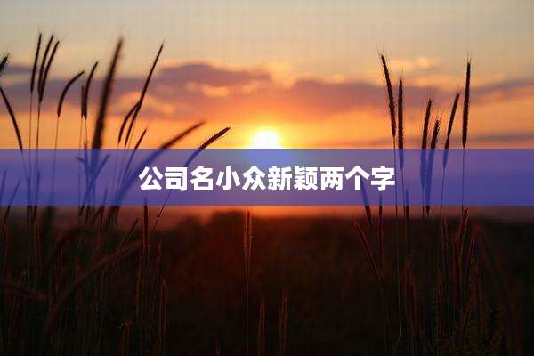 公司名小众新颖两个字