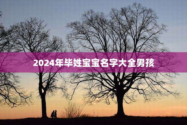 2024年毕姓宝宝名字大全男孩