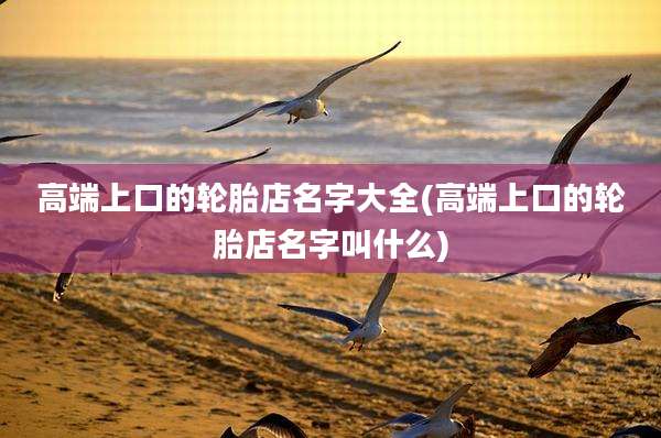 高端上口的轮胎店名字大全(高端上口的轮胎店名字叫什么)