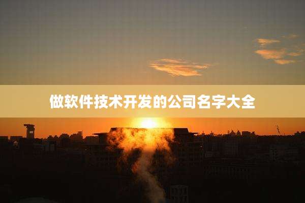 做软件技术开发的公司名字大全