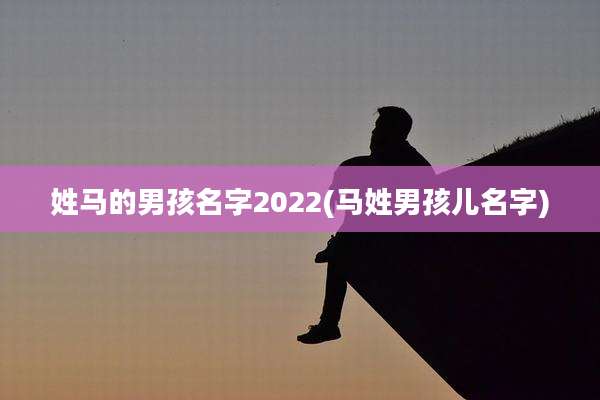 姓马的男孩名字2022(马姓男孩儿名字)