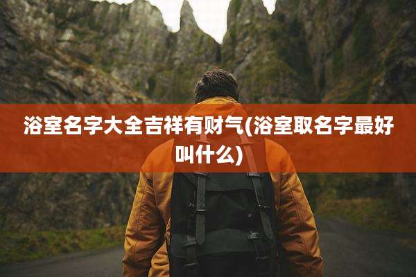 浴室名字大全吉祥有财气(浴室取名字最好叫什么)