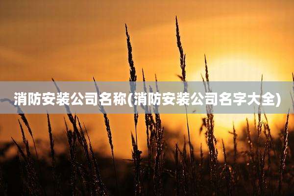 消防安装公司名称(消防安装公司名字大全)