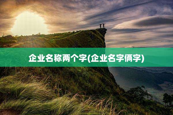 企业名称两个字(企业名字俩字)