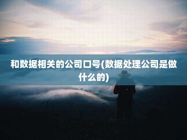 和数据相关的公司口号(数据处理公司是做什么的)