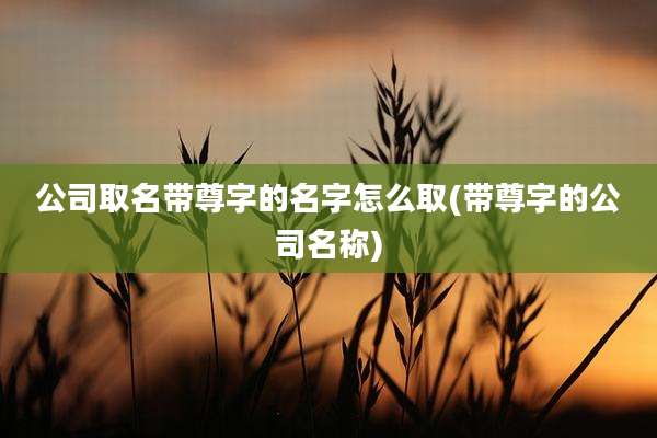 公司取名带尊字的名字怎么取(带尊字的公司名称)
