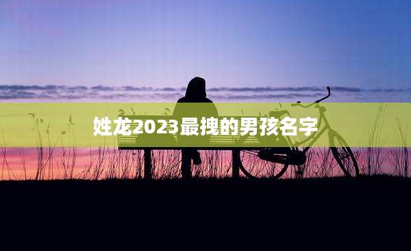 姓龙2023最拽的男孩名字