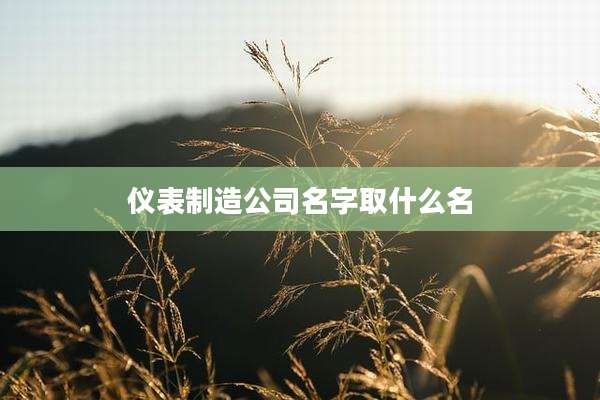 仪表制造公司名字取什么名