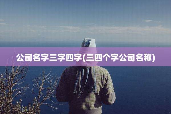 公司名字三字四字(三四个字公司名称)