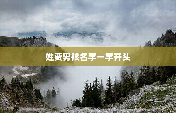 姓贾男孩名字一字开头