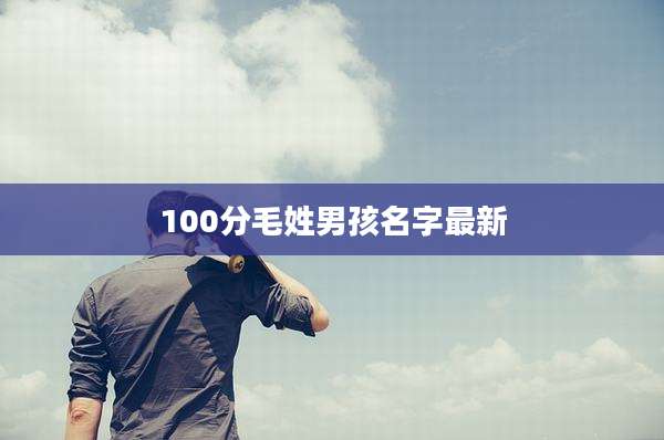 100分毛姓男孩名字最新