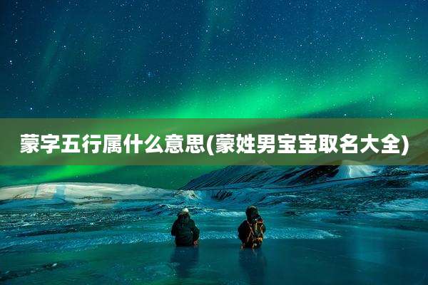 蒙字五行属什么意思(蒙姓男宝宝取名大全)