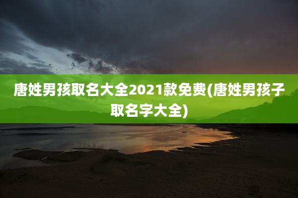 唐姓男孩取名大全2021款免费(唐姓男孩子取名字大全)