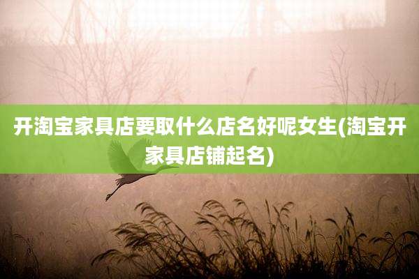 开淘宝家具店要取什么店名好呢女生(淘宝开家具店铺起名)