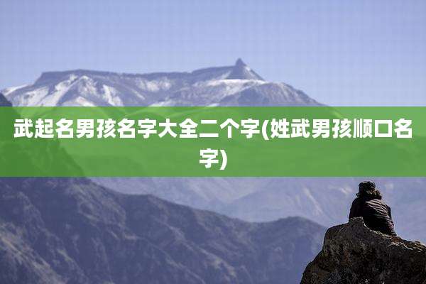 武起名男孩名字大全二个字(姓武男孩顺口名字)
