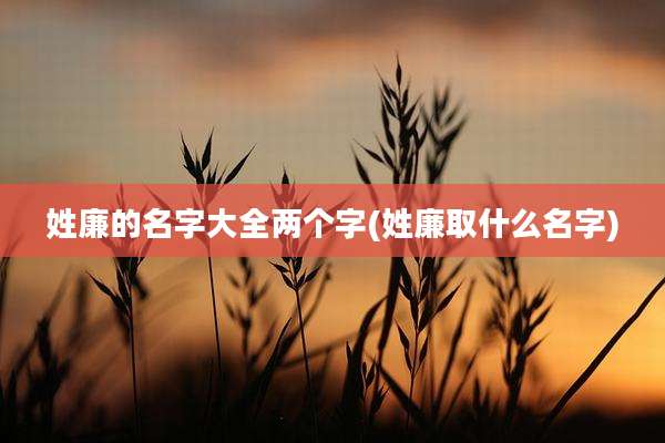 姓廉的名字大全两个字(姓廉取什么名字)