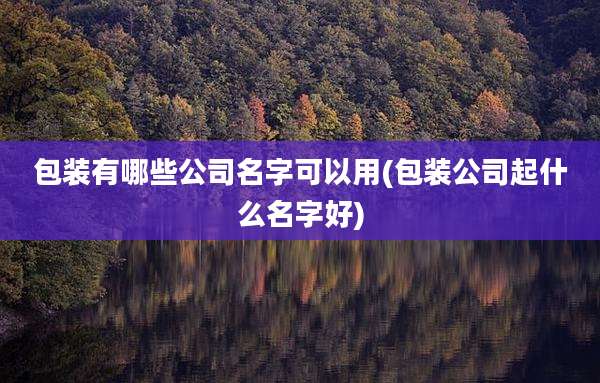 包装有哪些公司名字可以用(包装公司起什么名字好)