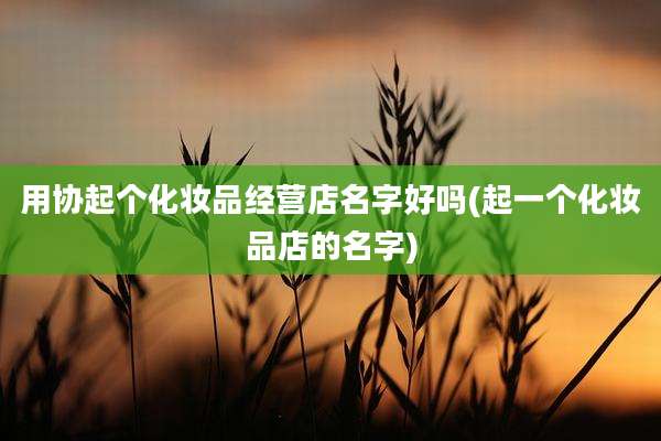 用协起个化妆品经营店名字好吗(起一个化妆品店的名字)