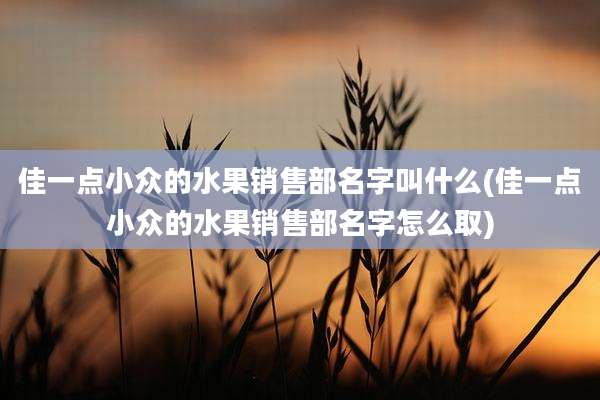 佳一点小众的水果销售部名字叫什么(佳一点小众的水果销售部名字怎么取)
