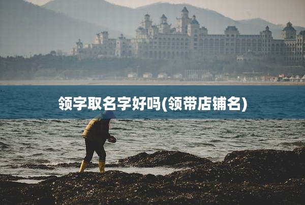 领字取名字好吗(领带店铺名)
