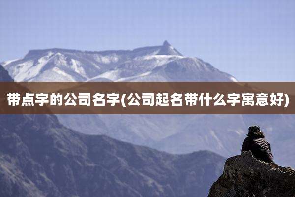 带点字的公司名字(公司起名带什么字寓意好)
