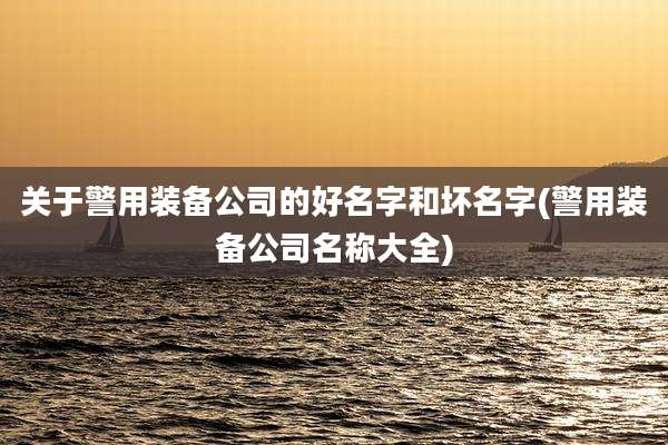 关于警用装备公司的好名字和坏名字(警用装备公司名称大全)