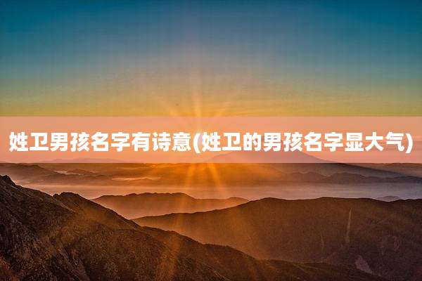 姓卫男孩名字有诗意(姓卫的男孩名字显大气)