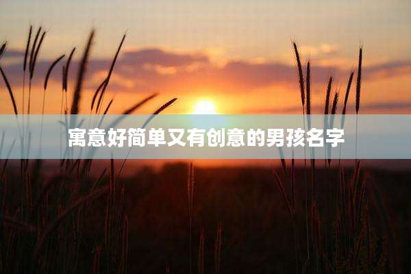 寓意好简单又有创意的男孩名字