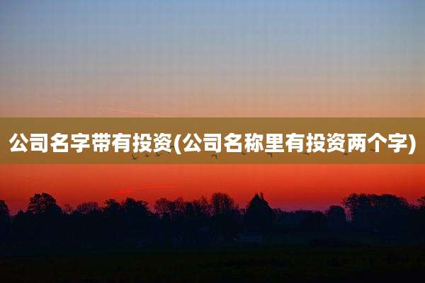公司名字带有投资(公司名称里有投资两个字)