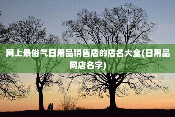 网上最俗气日用品销售店的店名大全(日用品网店名字)