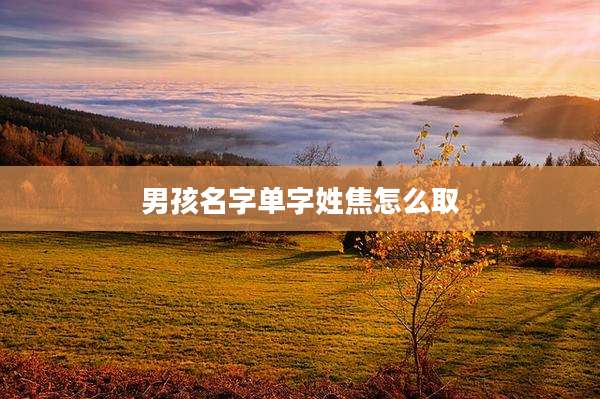 男孩名字单字姓焦怎么取