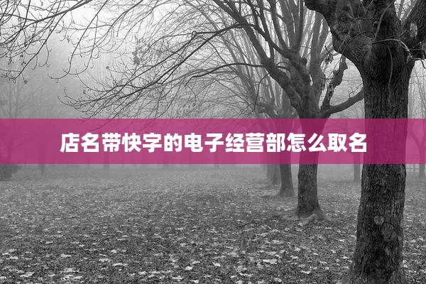 店名带快字的电子经营部怎么取名