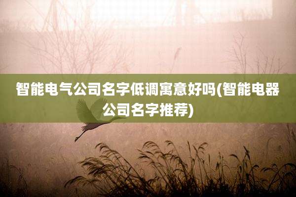 智能电气公司名字低调寓意好吗(智能电器公司名字推荐)