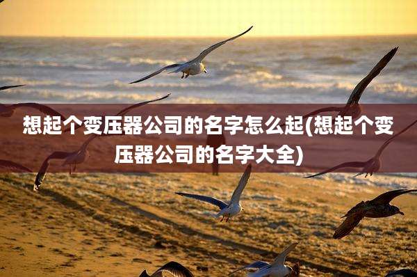 想起个变压器公司的名字怎么起(想起个变压器公司的名字大全)