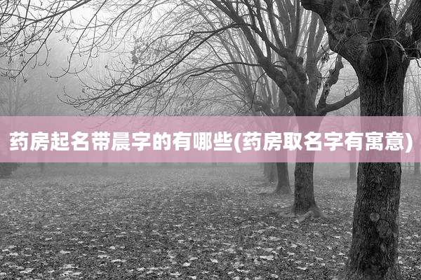 药房起名带晨字的有哪些(药房取名字有寓意)