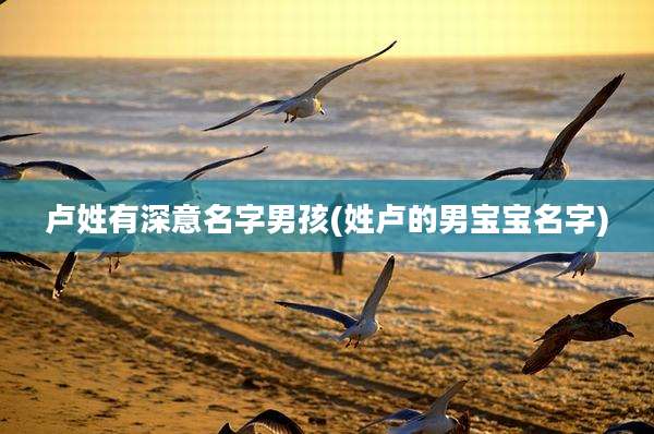 卢姓有深意名字男孩(姓卢的男宝宝名字)