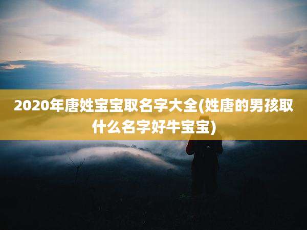 2020年唐姓宝宝取名字大全(姓唐的男孩取什么名字好牛宝宝)