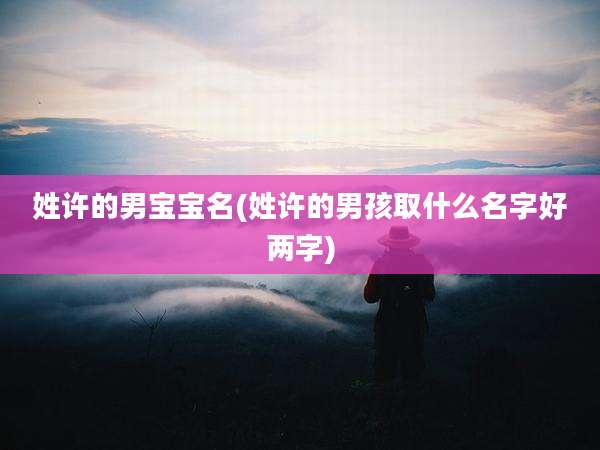 姓许的男宝宝名(姓许的男孩取什么名字好两字)