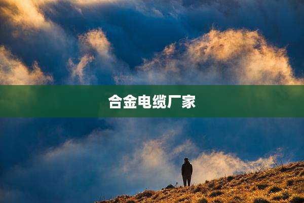合金电缆厂家