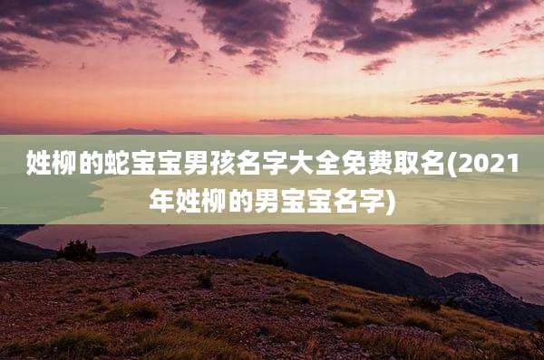 姓柳的蛇宝宝男孩名字大全免费取名(2021年姓柳的男宝宝名字)