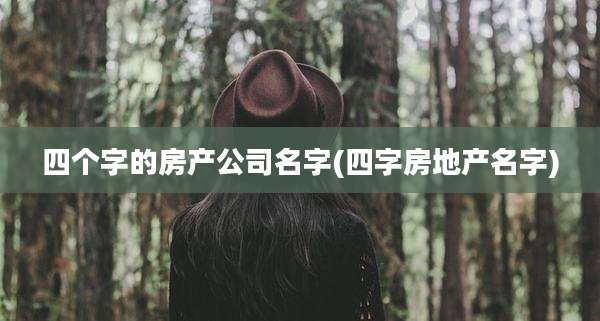 四个字的房产公司名字(四字房地产名字)