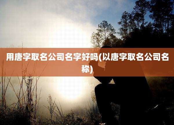 用唐字取名公司名字好吗(以唐字取名公司名称)
