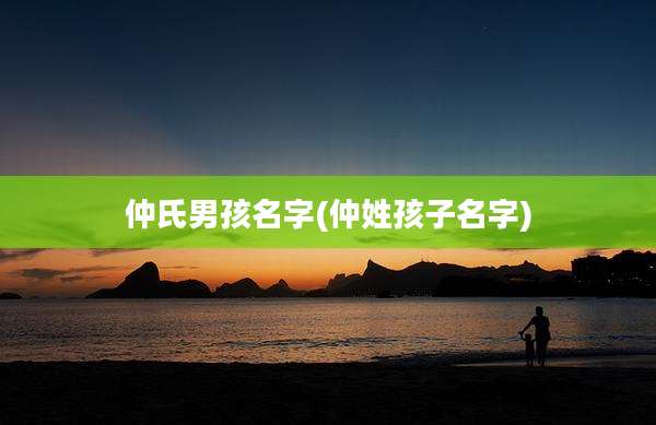 仲氏男孩名字(仲姓孩子名字)