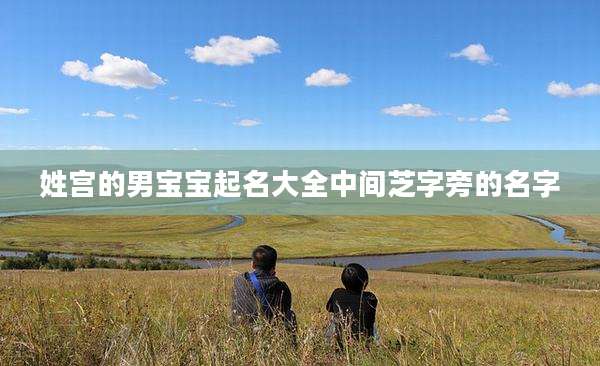姓宫的男宝宝起名大全中间芝字旁的名字