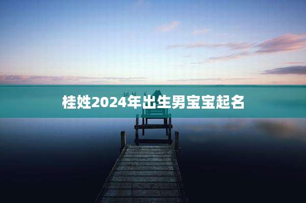 桂姓2024年出生男宝宝起名
