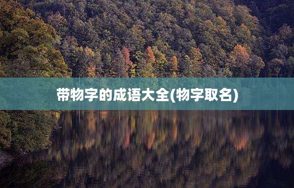 带物字的成语大全(物字取名)