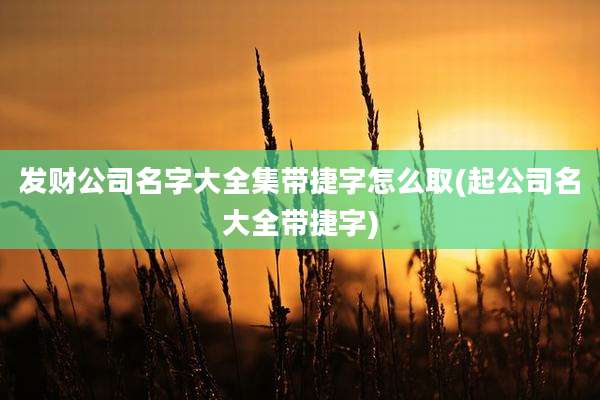 发财公司名字大全集带捷字怎么取(起公司名大全带捷字)