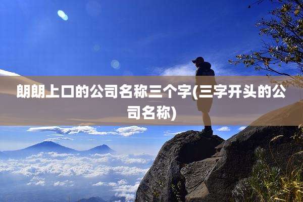 朗朗上口的公司名称三个字(三字开头的公司名称)